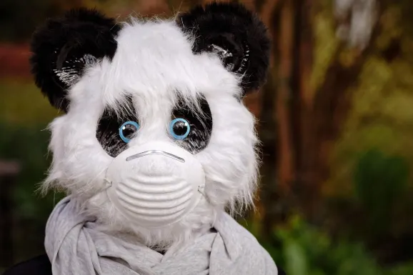 Thunderbolt Casino Assistance